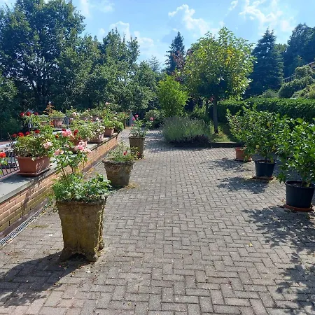 Viale Delle Nazioni * Serramazzoni